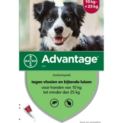 Advantage 250 Spot-On Hond 10-25kg