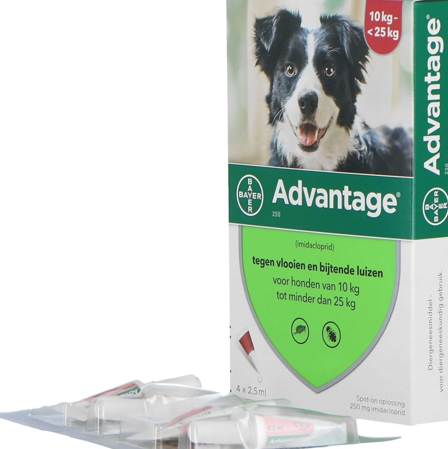 Advantage 250 Spot-On Hond 10-25kg