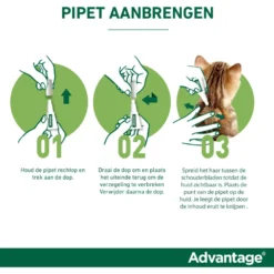 Advantage 80 Spot-On Kat 4-8kg
