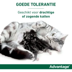 Advantage 80 Spot-On Kat 4-8kg