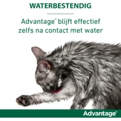 Advantage 40 Spot-On Kat <4kg
