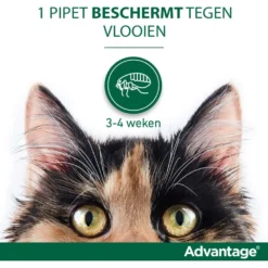 Advantage 40 Spot-On Kat <4kg