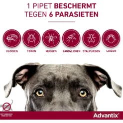 Advantix 600/3000 Spot On Hond