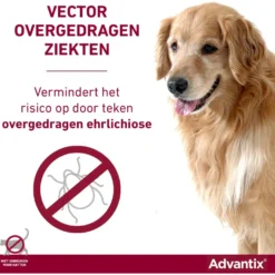 Advantix 600/3000 Spot On Hond