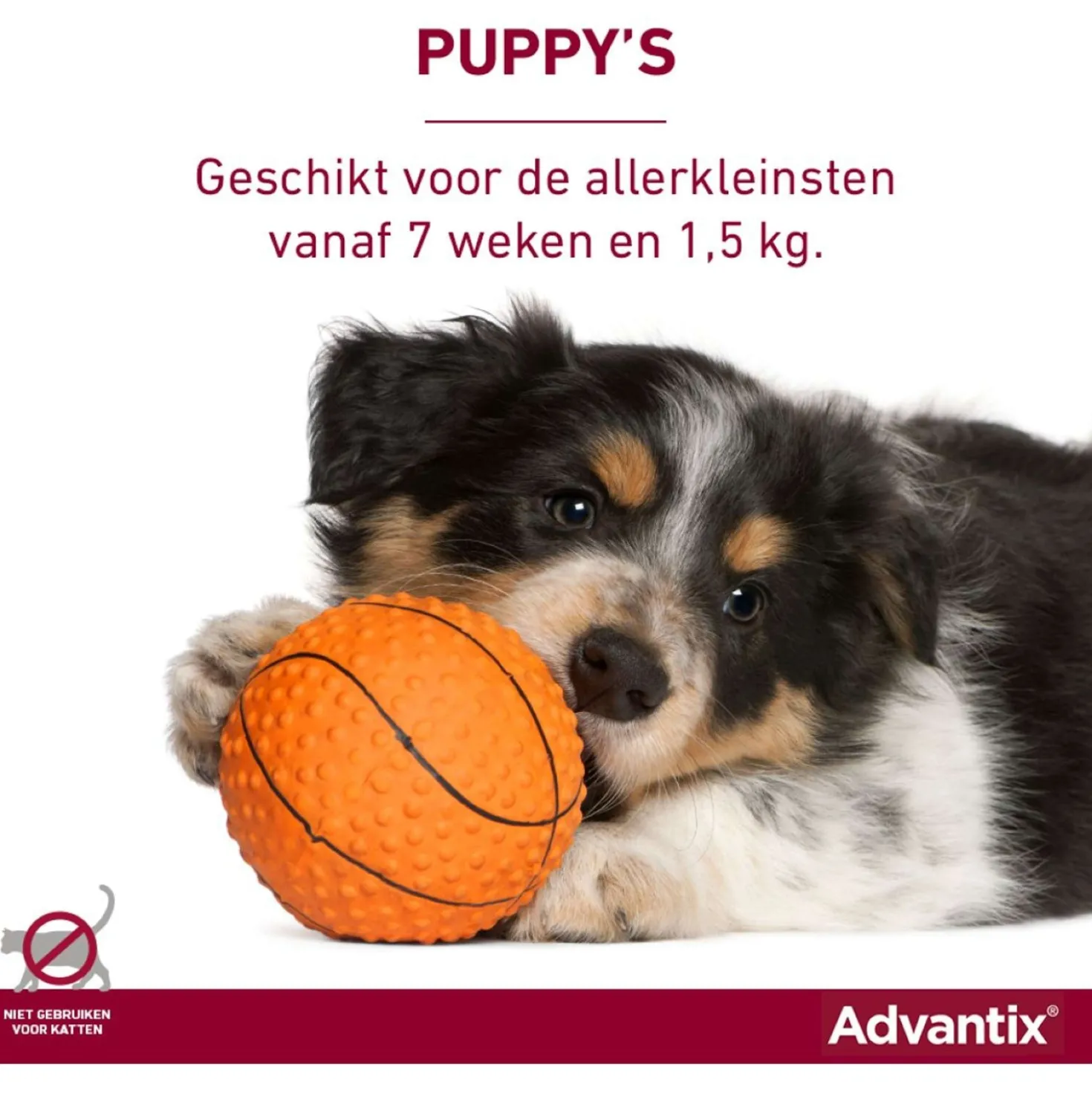 Advantix 250/1250 Spot-On Hond 10-25kg