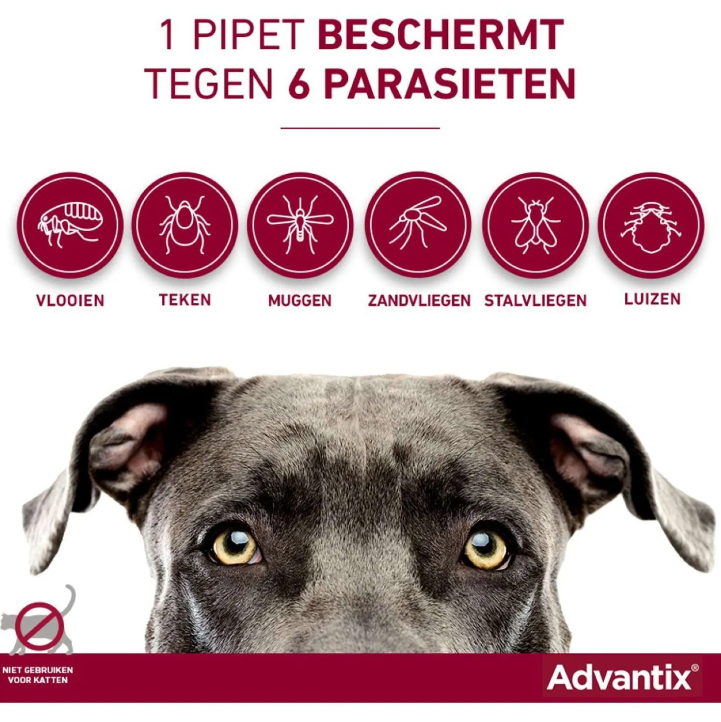 Advantix 100/500 Spot-On Hond 4-10kg