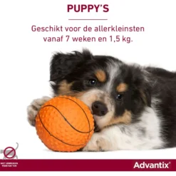 Advantix 400/2000 Spot-On Hond 25-40kg