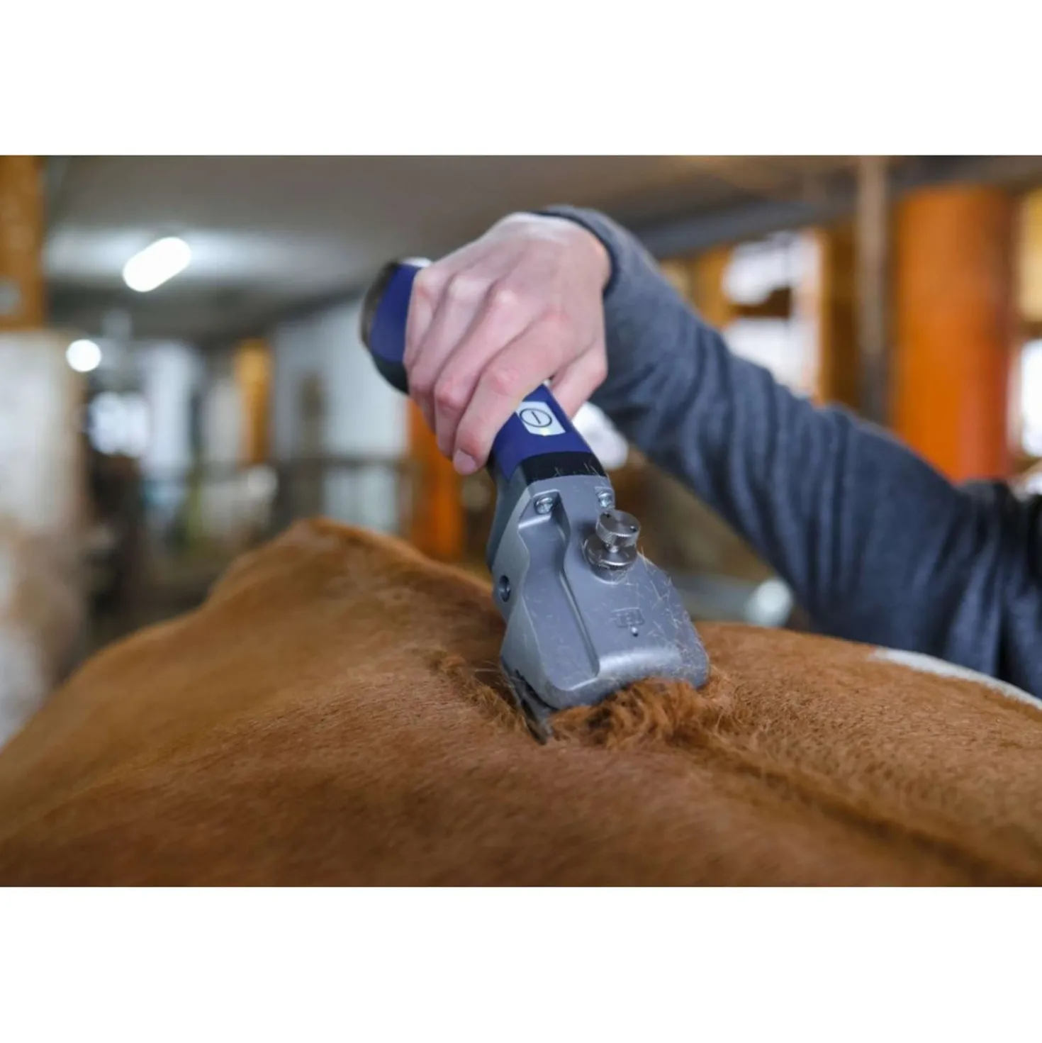 Aesculap Accuscheermachine Bonum Pro Paard Blauw