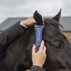 Aesculap Tondeuse Durati Horse GT444