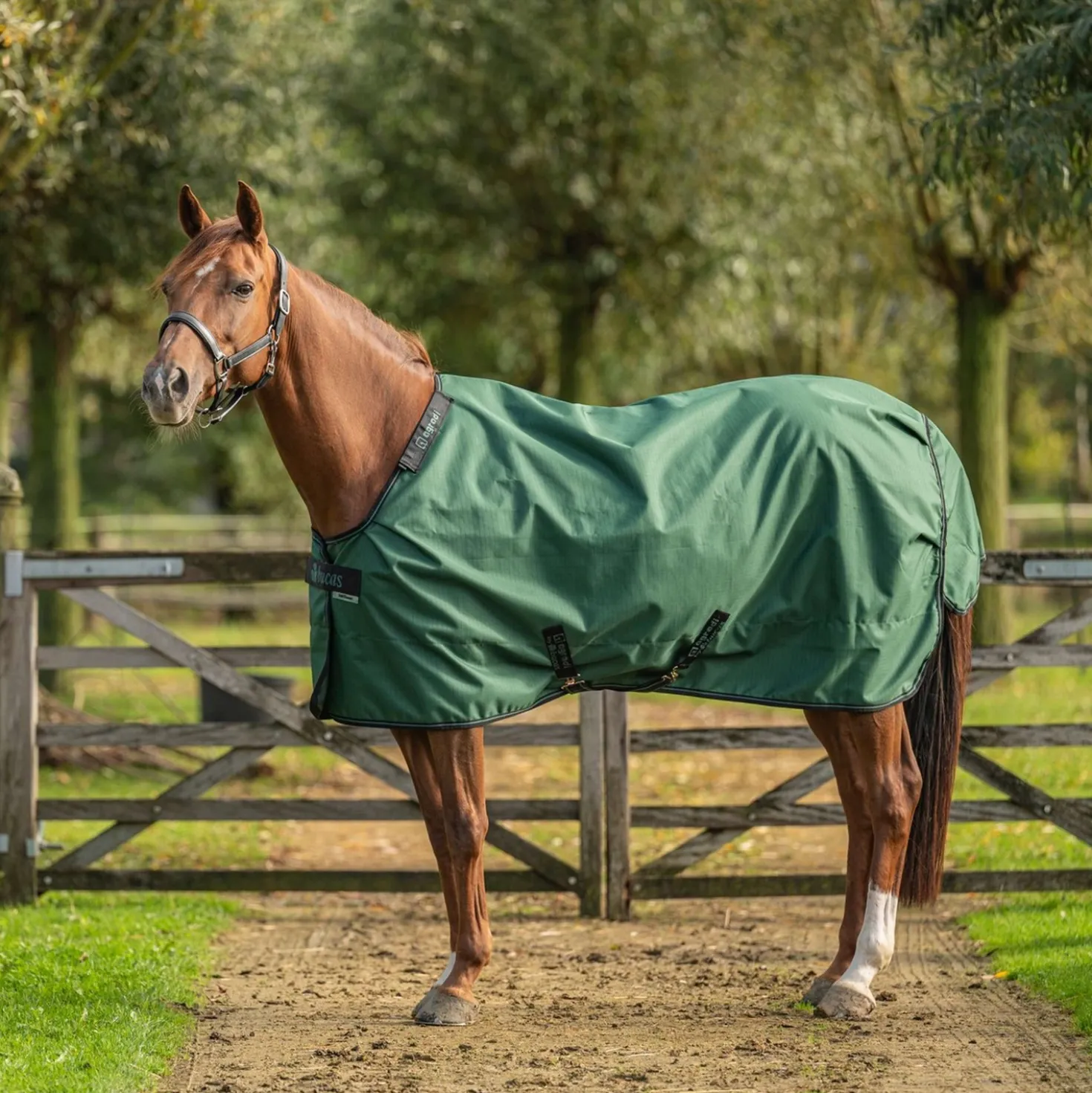 Agradi by Bucas Turnout Rug 0g Groen/Zwart