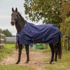 Agradi by Bucas Turnout Rug 0g Navy/Zilver