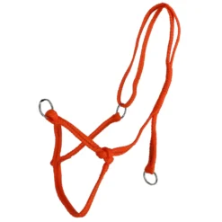 Agradi Halster Koe Oranje