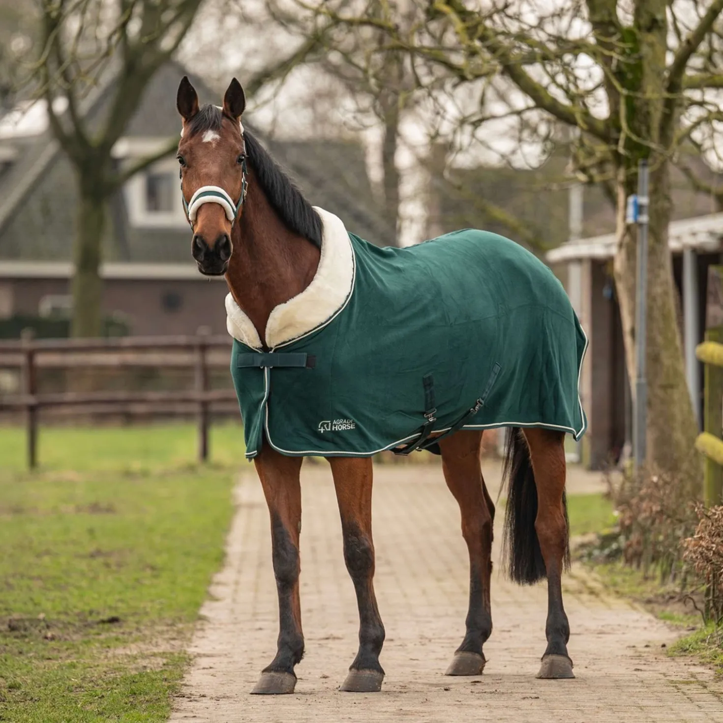 Agradi Horse Fleecedeken Modern Rosé Fir Green