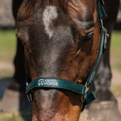 Agradi Horse Halster Athletic Fir Green