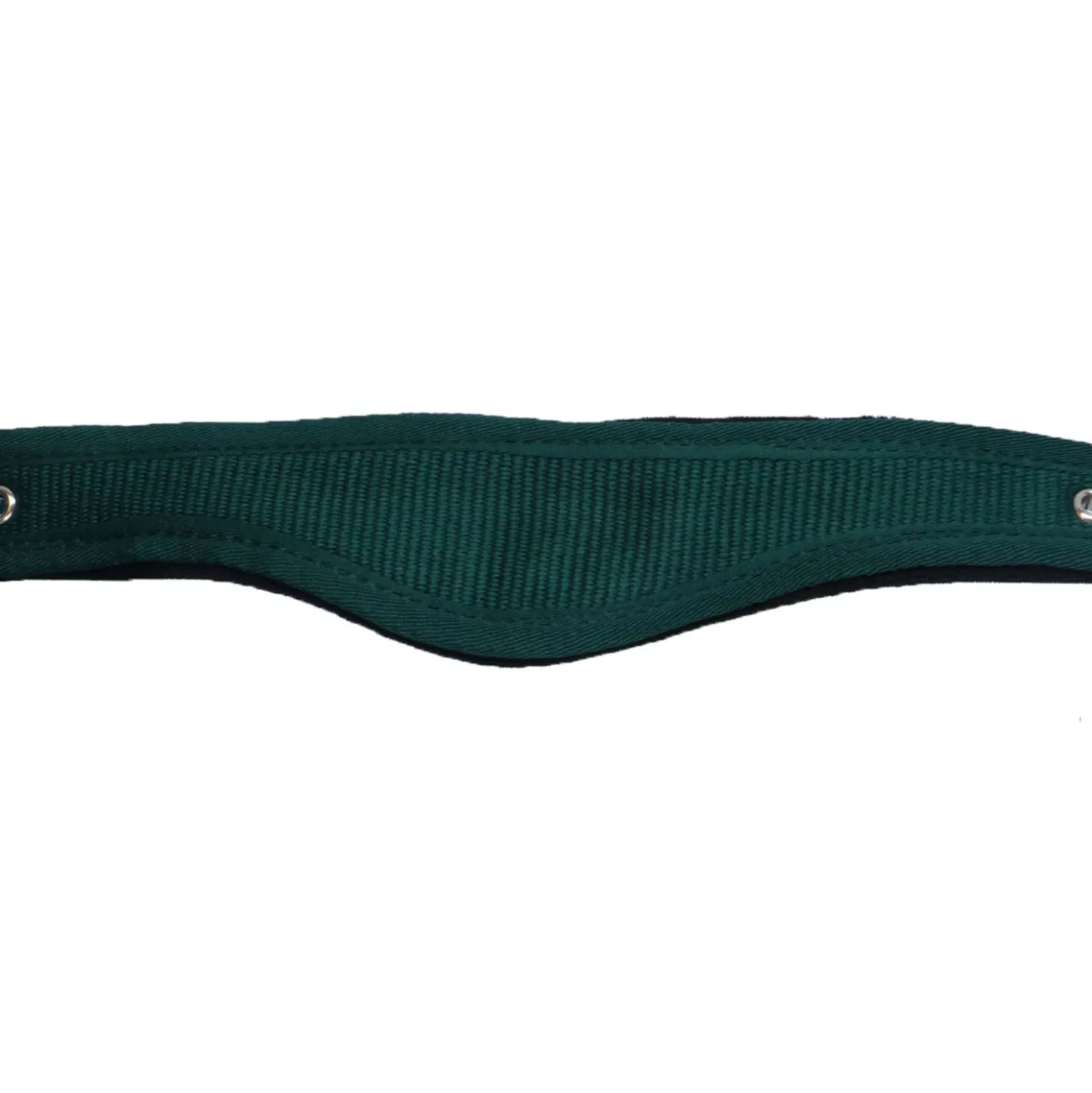 Agradi Horse Halster Athletic Fir Green