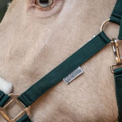 Agradi Horse Halster First Fir Green