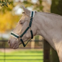 Agradi Horse Halster First Fir Green