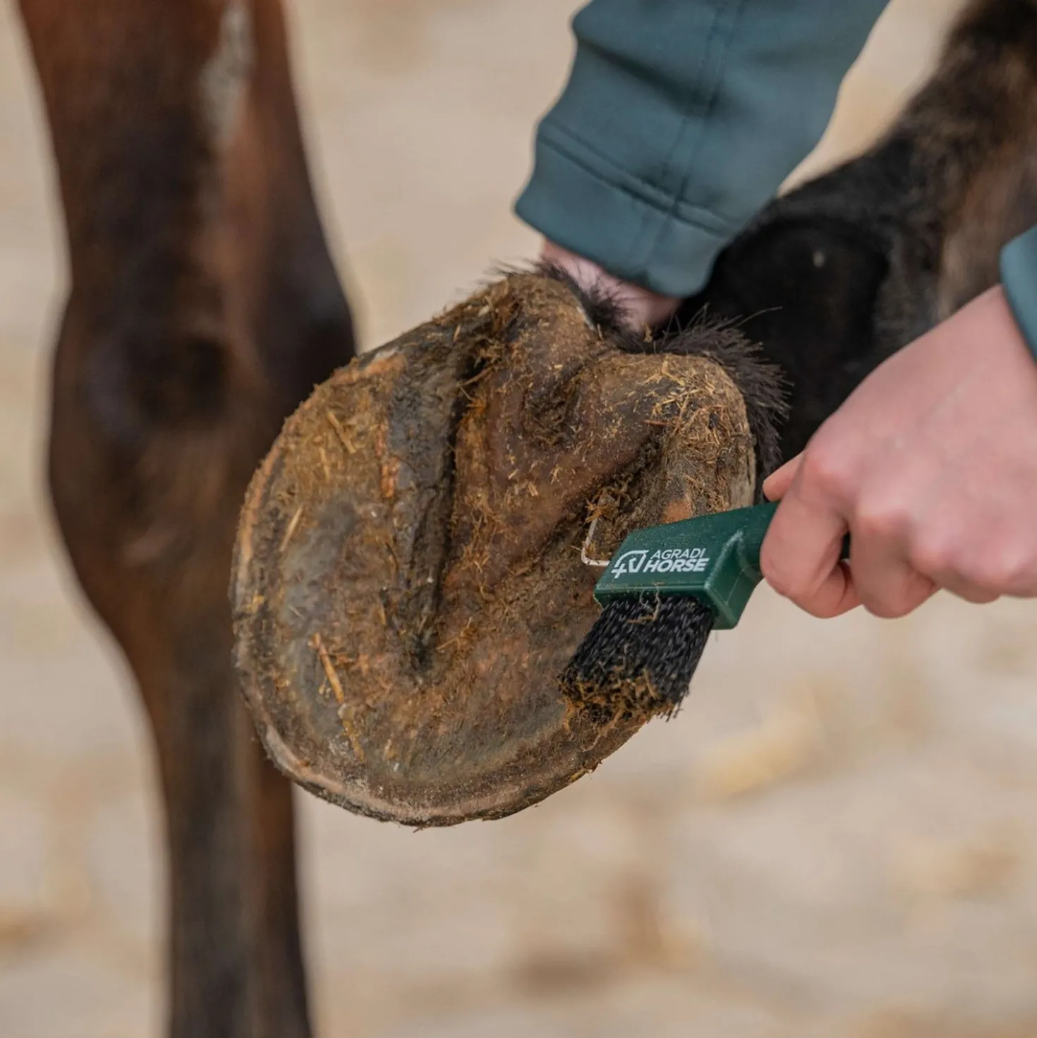 Agradi Horse Hoevenkrabber Fir Green
