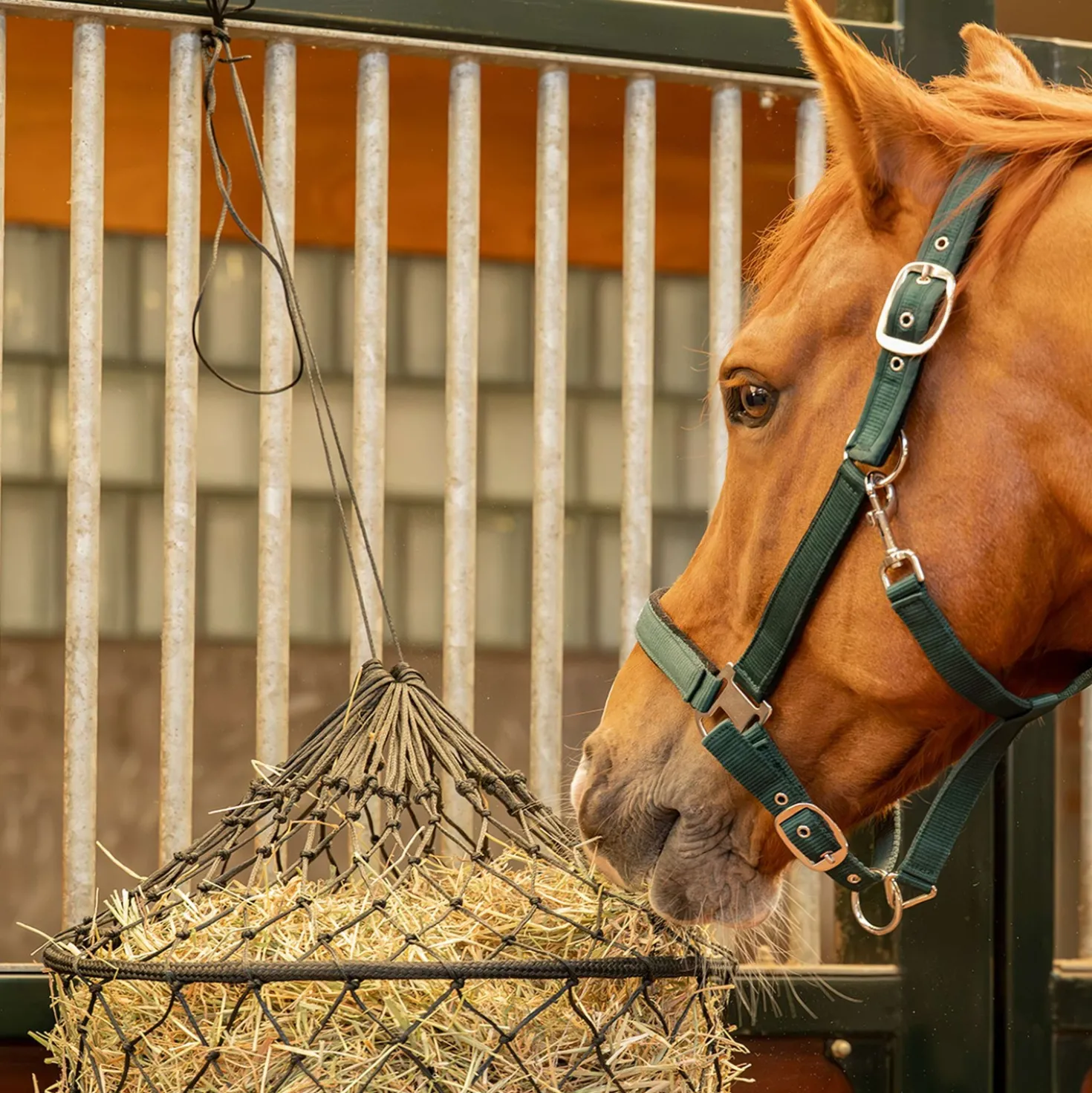 Agradi Horse Hooinet Easy Fill Maas 5x5cm Zwart
