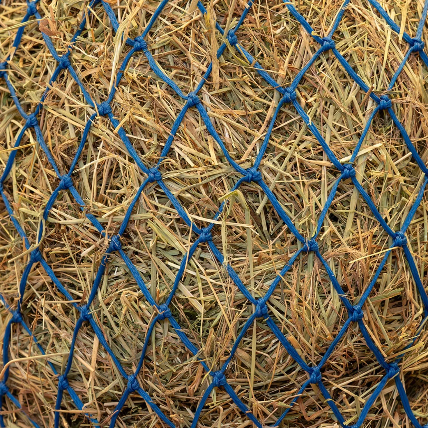 Agradi Horse Hooinet Fijne Maas 5x5cm Blauw