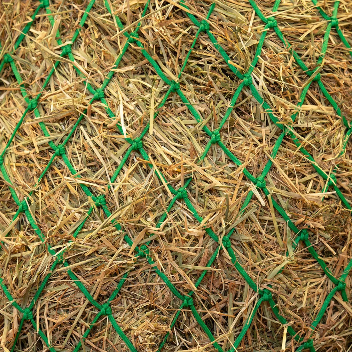 Agradi Horse Hooinet Fijne Maas 5x5cm Groen