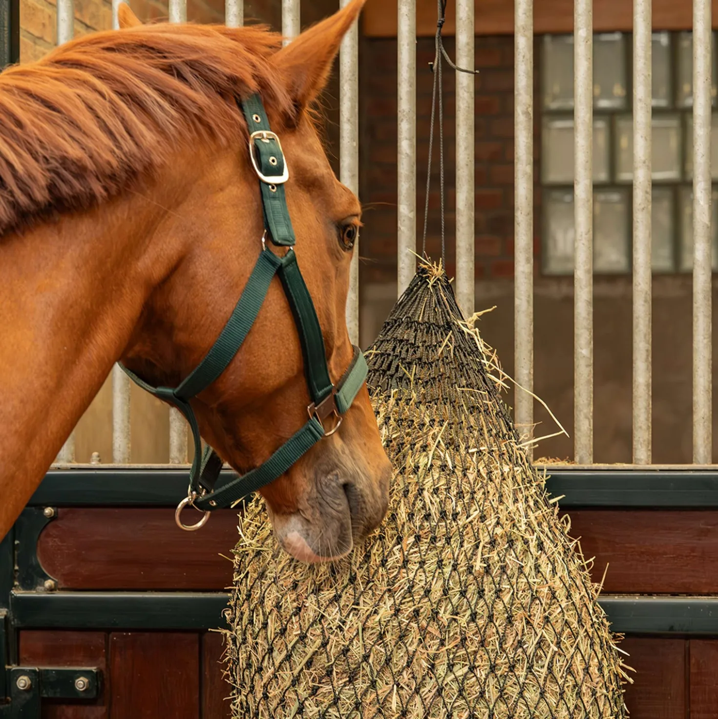 Agradi Horse Hooinet Greedy Maas 2,5x2,5cm Zwart