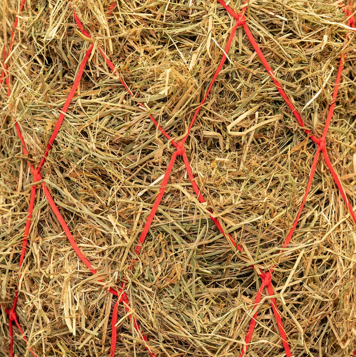 Agradi Horse Hooinet Maas 15x15cm Rood