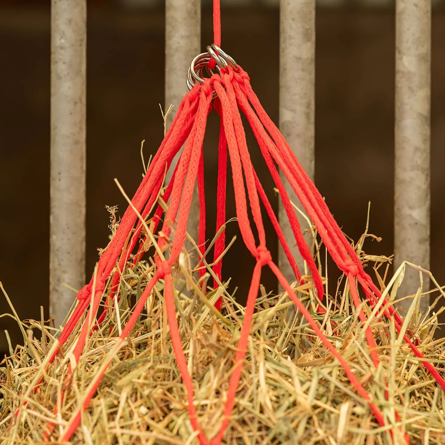 Agradi Horse Hooinet Maas 15x15cm Rood