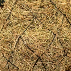 Agradi Horse Hooinet Maas 15x15cm Zwart