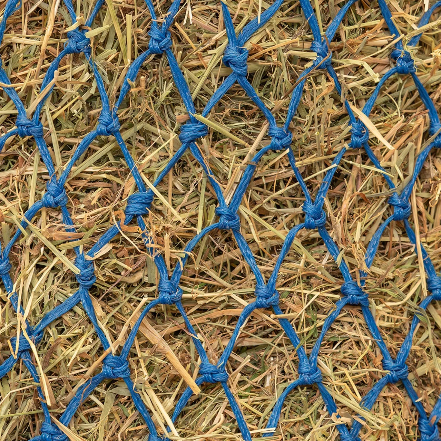 Agradi Horse Hooinet Standaard Fijne Maas 3x3cm Blauw