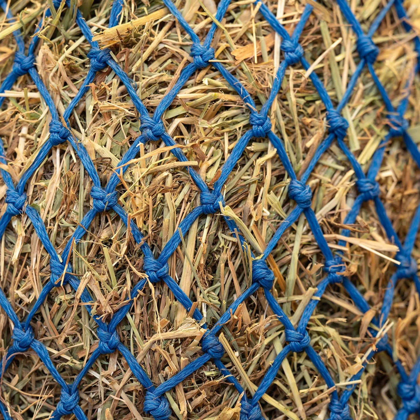 Agradi Horse Hooinet Standaard Extra Fijne Maas 3x3cm Blauw