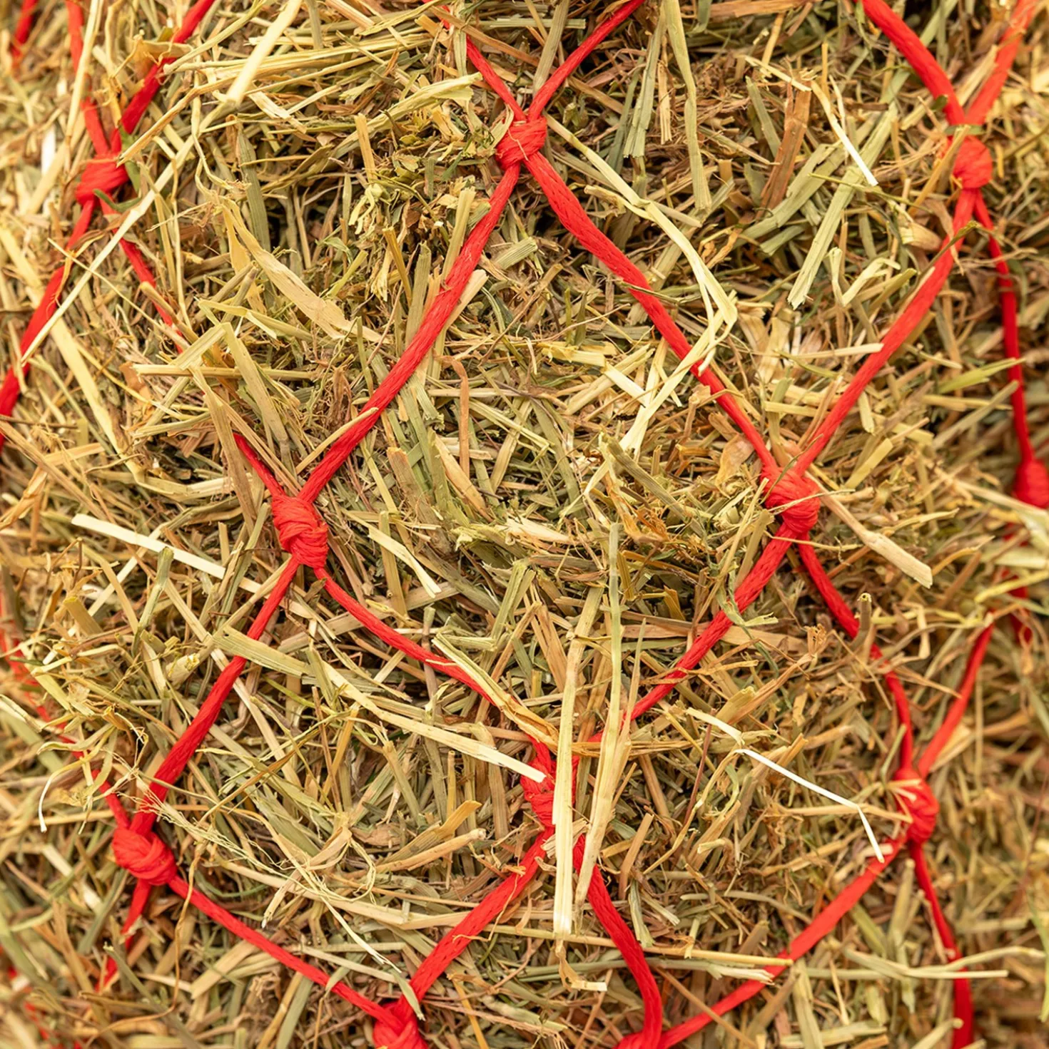 Agradi Horse Hooinet Standaard Grove Maas 8x8cm Rood