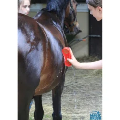 Agradi Horse Magic Brush Borstel Donkergroen