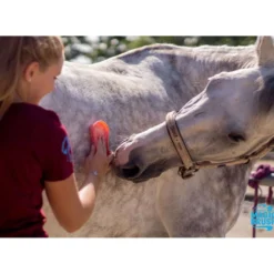 Agradi Horse Magic Brush Borstel Donkergroen