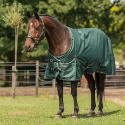 Agradi Horse Outdoordeken 1200D 50gr Reflecterende Bies Groen