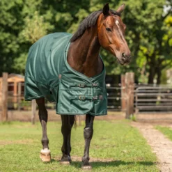 Agradi Horse Outdoordeken 1200D 50gr Reflecterende Bies Groen