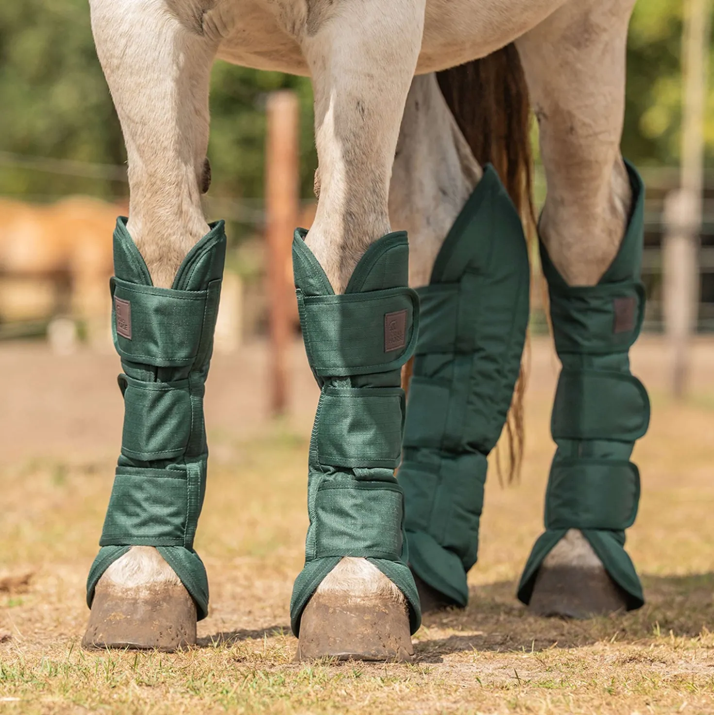 Agradi Horse Transportbeschermers 1200D Groen