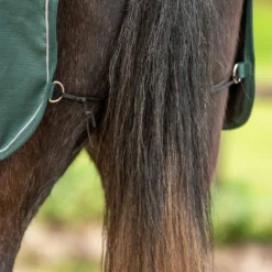 Agradi Horse Uitrijdeken 1200D Reflecterende Bies Groen