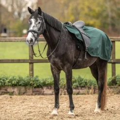 Agradi Horse Uitrijdeken 1200D Reflecterende Bies Groen