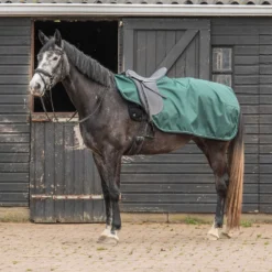 Agradi Horse Uitrijdeken 1200D Reflecterende Bies Groen