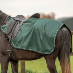 Agradi Horse Uitrijdeken 1200D Reflecterende Bies Groen