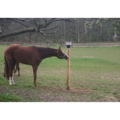Agradi Liksteenhouder Paal Kunststof voor 10 Kg