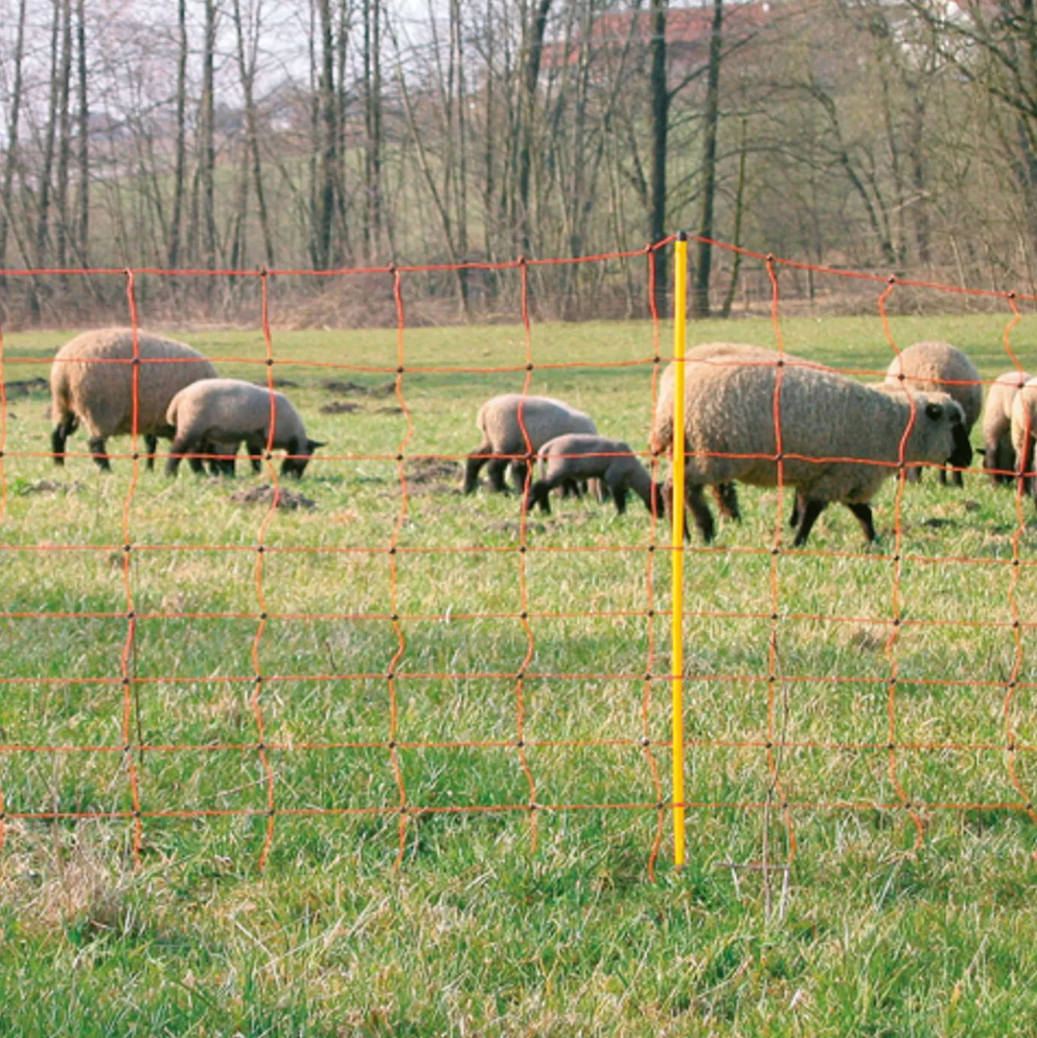 Agradi Power Schapennet Dubbele Pen Gele Palen 90cm 50m