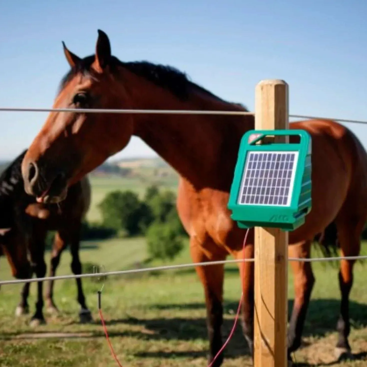 Ako Afrasterapparaat SunPower S250