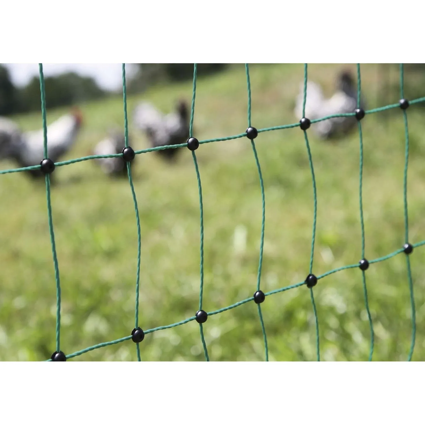 Ako Pluimveenet Dubbele Pen Geleidend Groen