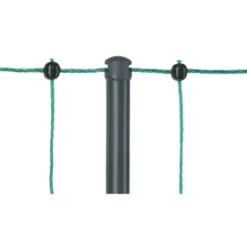 Ako Pluimveenet Premium Electified Dubbele Pen Groen