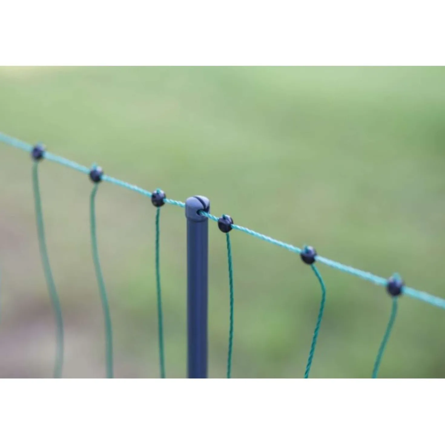Ako Pluimveenet Premium not Electrifiable Dubbele Pen Groen