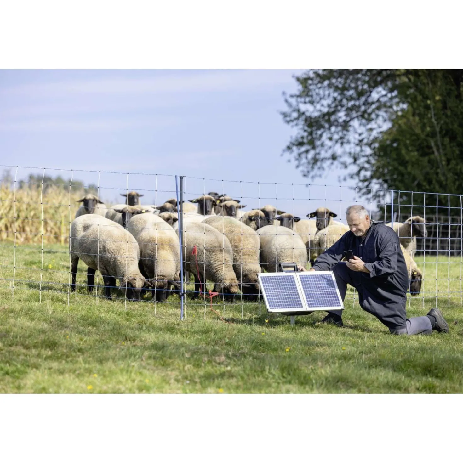 Ako Schrikdraadapparaat SunPower S2400 Smart 12V