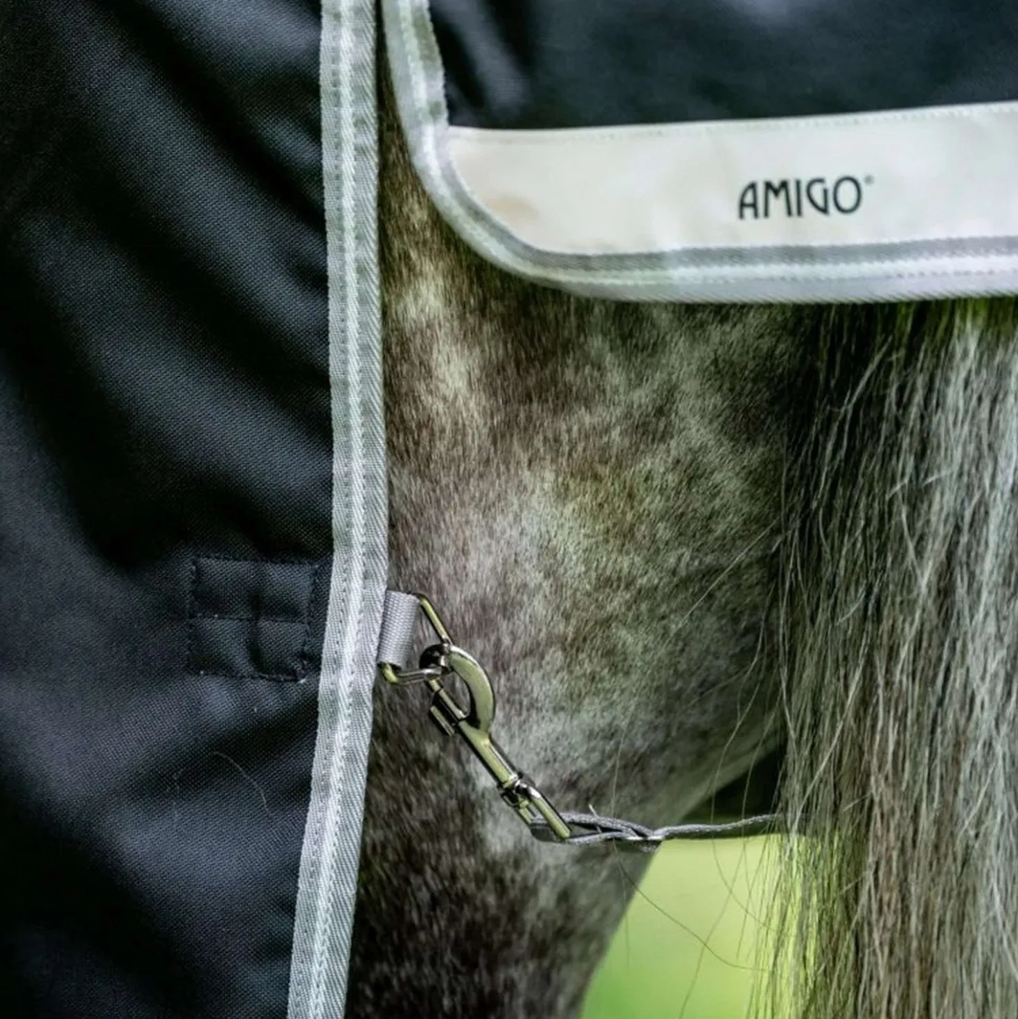 Amigo Bravo 12 Plus Bundle 50g Black/Titanium Grey