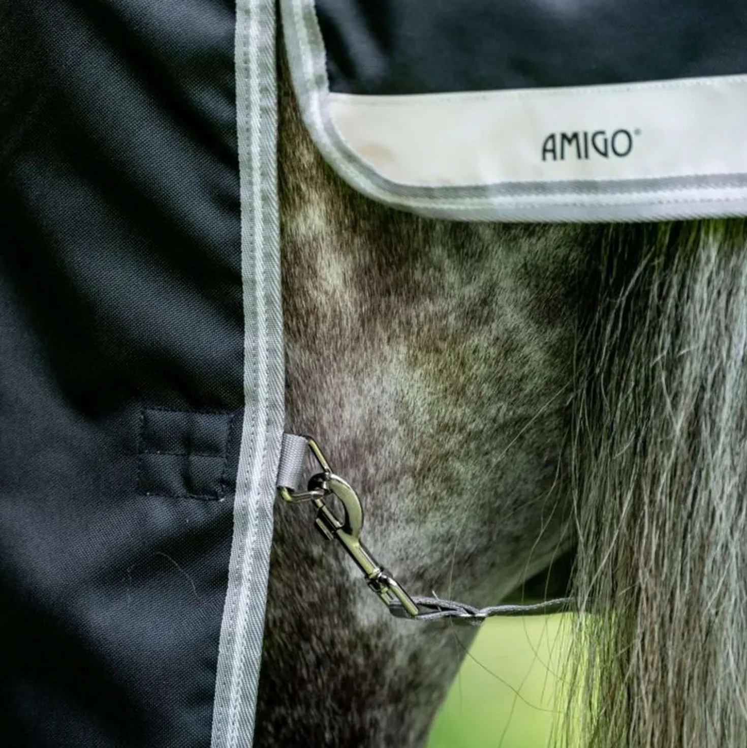 Amigo Bravo 12 Plus T/O Lite 0g Black/Titanium Grey